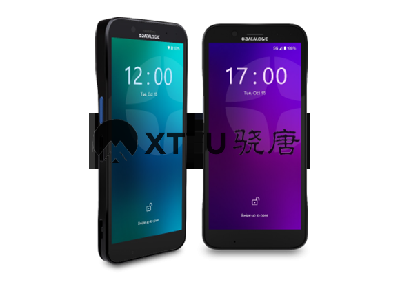 Datalogic Memor 12-17